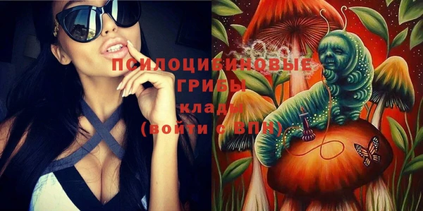 ешки Алзамай