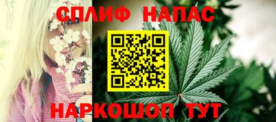 прущие грибы Балашиха