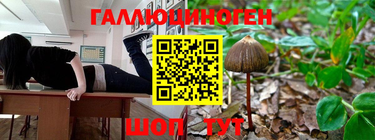 Псилоцибиновые грибы прущие грибы  Вход с VPN  Беслан 